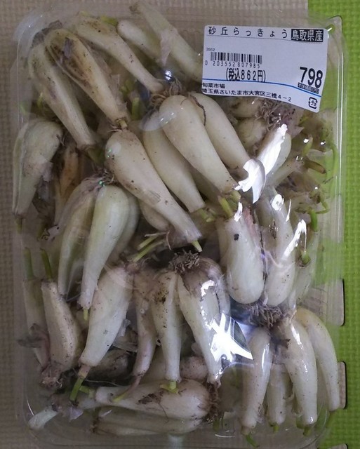 529 らっきょ.jpg