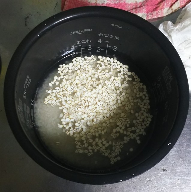 1227 米 麦.jpg